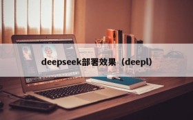 deepseek部署效果（deepl）
