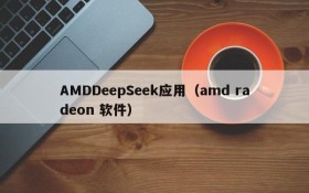 AMDDeepSeek应用（amd radeon 软件）