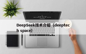 DeepSeek技术介绍（deeptech space）