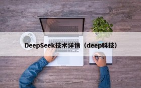 DeepSeek技术详情（deep科技）