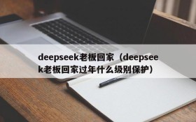 deepseek老板回家（deepseek老板回家过年什么级别保护）