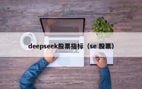 deepseek股票指标（se 股票）