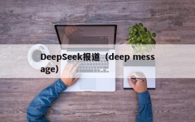 DeepSeek报道（deep message）