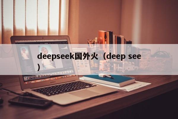 deepseek国外火(deep see)
