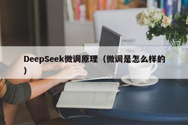 DeepSeek微调原理(微调是怎么样的)