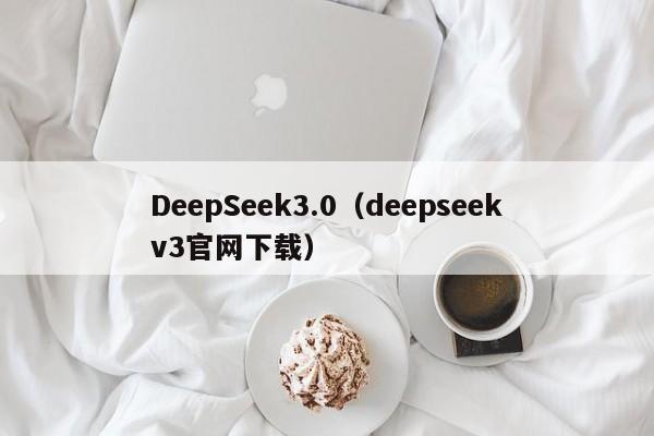 DeepSeek3.0（deepseekv3官网下载）