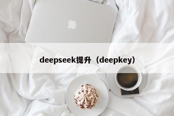 deepseek提升（deepkey）