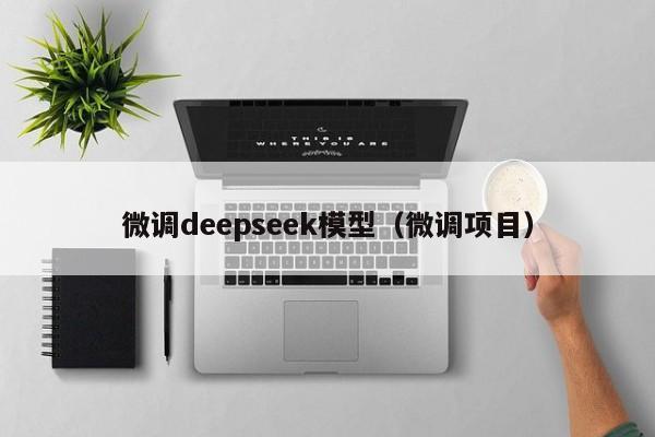 微调deepseek模型(微调项目)
