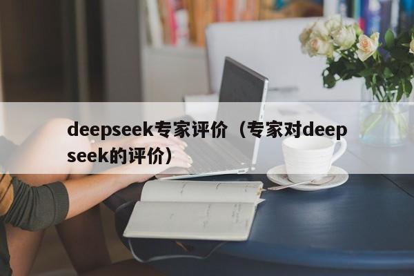 deepseek专家评价（专家对deepseek的评价）