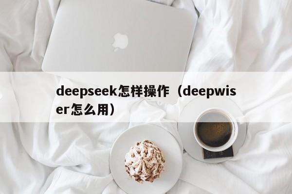deepseek怎样操作(deepwiser怎么用)