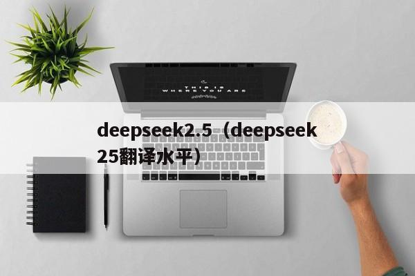 deepseek2.5(deepseek25翻译水平)