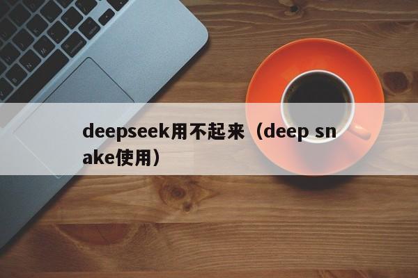 deepseek用不起来（deep snake使用）