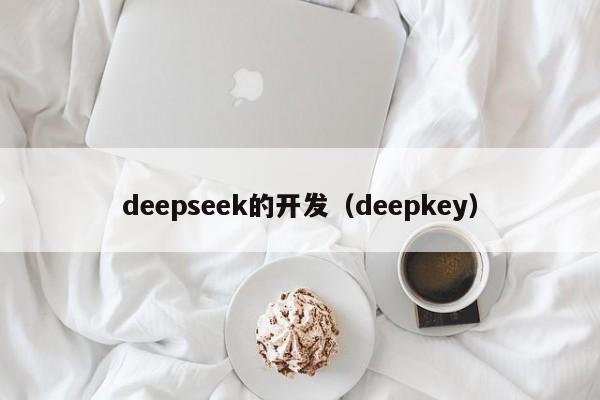 deepseek的开发(deepkey)