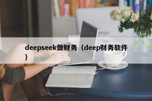 deepseek做财务（deep财务软件）