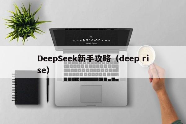 DeepSeek新手攻略（deep rise）