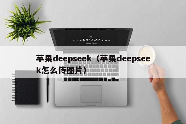 苹果deepseek（苹果deepseek怎么传图片）