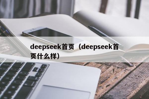 deepseek首页（deepseek首页什么样）